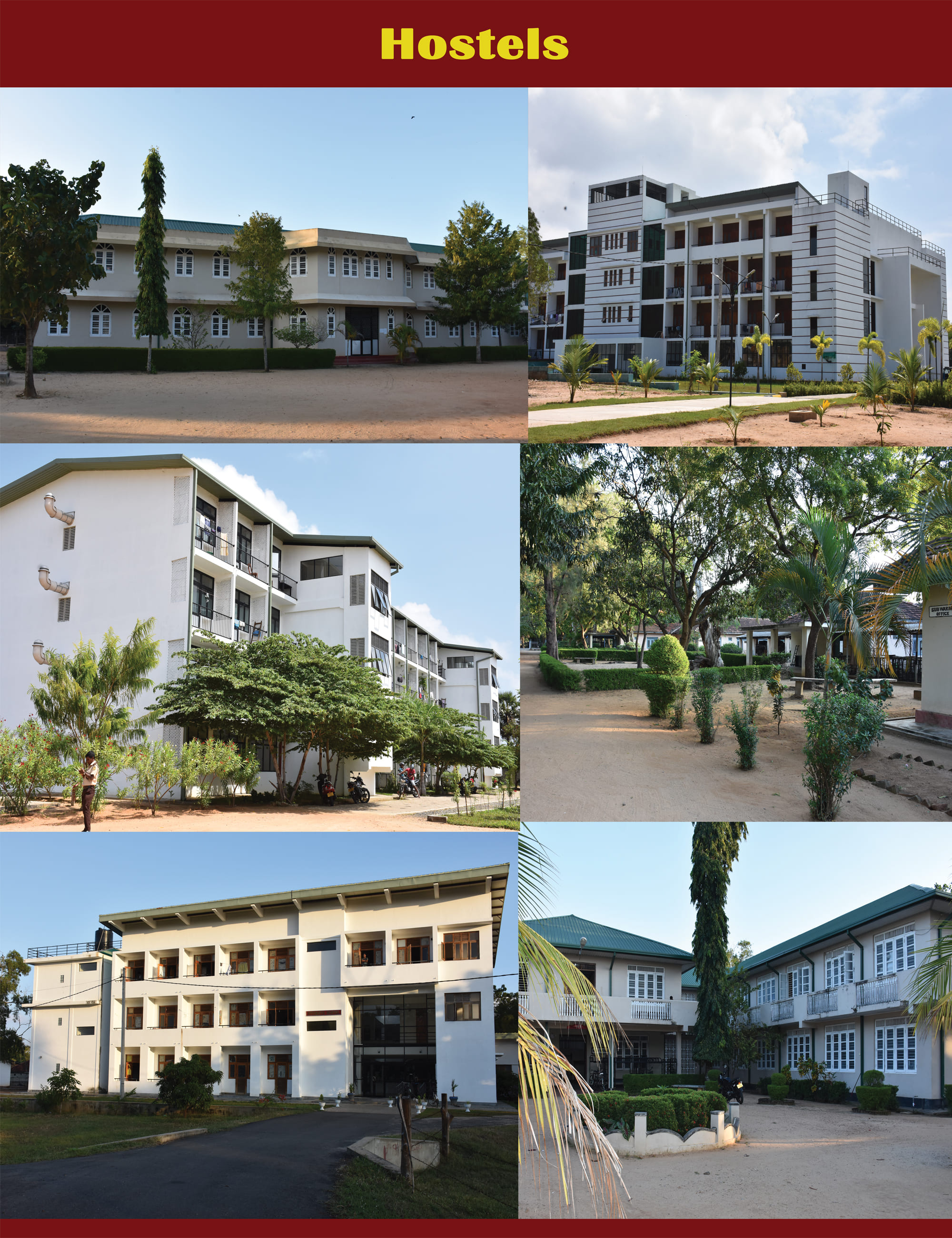 eusl Hostels.jpeg